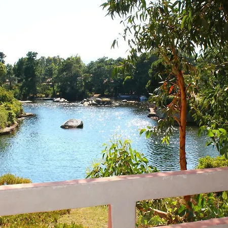 公寓 Cala Di Sole Lecci 维琪奥港